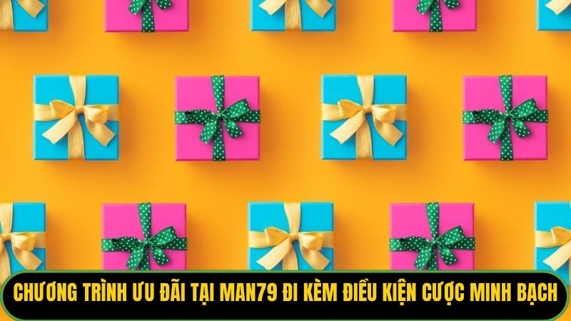 Điều Khoản Điều Kiện Man79: Quy Định Chung Cho Người Chơi 2 Các chương trình ưu đãi tại Man79 luôn đi kèm điều kiện cược minh bạch.